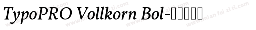 TypoPRO Vollkorn Bol字体转换
